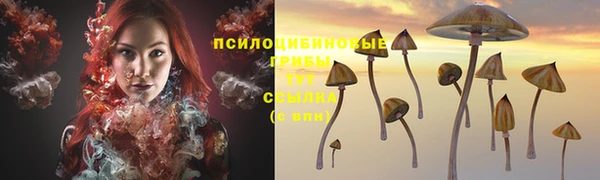 метамфетамин Верея