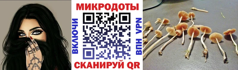 нарко площадка официальный сайт  Новозыбков  Галлюциногенные грибы мухоморы 